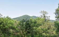 Listing Image #2 - Land for sale at LOT54 Brasstown View Rd, Murphy NC 28906