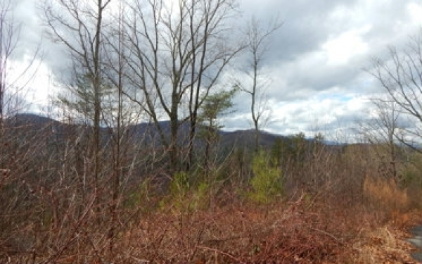 Listing Image #2 - Land for sale at 14 View Ridge Trail, Murphy NC 28906