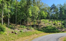 Listing Image #1 - Land for sale at LOT 6 Mountain Laurel Ridg, Mineral Bluff GA 30559