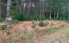 Land for sale in Blairsville, GA