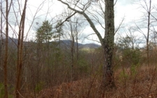 Listing Image #3 - Land for sale at 13 View Ridge Trail, Murphy NC 28906