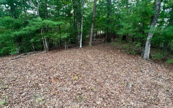 Listing Image #2 - Land for sale at Hedden Pines, Murphy NC 28906