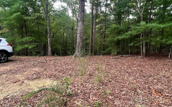 Listing Image #3 - Land for sale at Hedden Pines, Murphy NC 28906