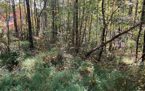 Listing Image #2 - Land for sale at 11 Mountain View Trail, Murphy NC 28906
