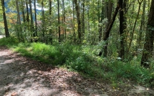 Listing Image #1 - Land for sale at 11 Mountain View Trail, Murphy NC 28906