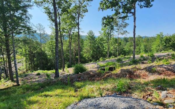 Listing Image #2 - Land for sale at LOT18 Mountain Laurel Ridg, Mineral Bluff GA 30559