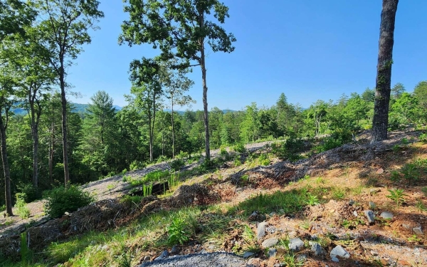 Listing Image #3 - Land for sale at LOT18 Mountain Laurel Ridg, Mineral Bluff GA 30559