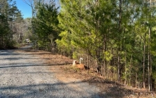 Land property for sale in Talking Rock, GA