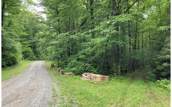 Listing Image #2 - Land for sale at 2 Cahill Drive, Andrews NC 28901