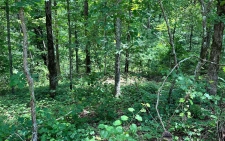 Land property for sale in Talking Rock, GA