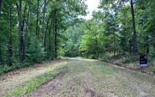 Listing Image #2 - Land for sale at Rebekah Ridge Road, Talking Rock GA 30175