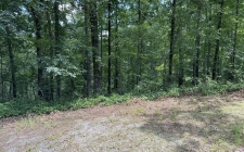 Listing Image #3 - Land for sale at Rebekah Ridge Road, Talking Rock GA 30175