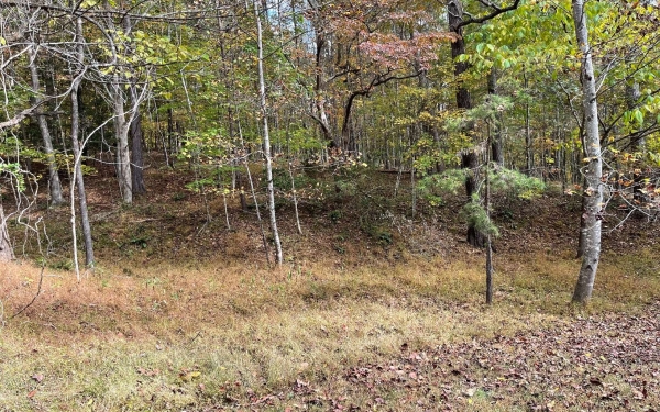 Listing Image #1 - Land for sale at TRACT Pine Trail, Warne NC 28909
