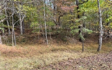 Land for sale in Warne, NC