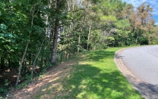 Listing Image #1 - Land for sale at LT 40 Summit Trace, Blairsville GA 30512
