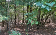 Listing Image #2 - Land for sale at LT 40 Summit Trace, Blairsville GA 30512