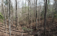 Listing Image #1 - Land for sale at LOT20 Settlers Cove, Blairsville GA 30512