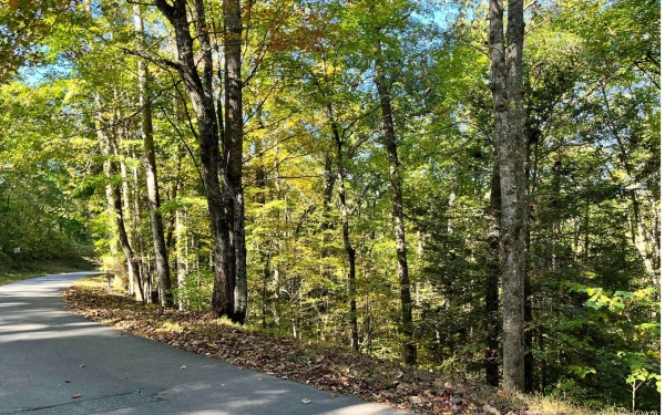 Listing Image #2 - Land for sale at Big Rock Trail, Murphy NC 28906