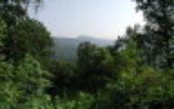 Listing Image #2 - Land for sale at 2 View Ridge Trail, Murphy NC 28906