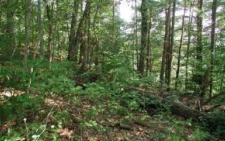 Listing Image #1 - Land for sale at 2 View Ridge Trail, Murphy NC 28906