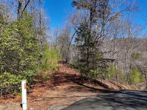 Listing Image #2 - Land for sale at Lot 24 Mission Ridge Court, Hayesville NC 28904
