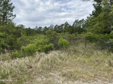 Listing Image #1 - Land for sale at 0 Industrial Avenue, Pascagoula MS 39581