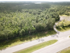 Listing Image #3 - Land for sale at 25 Acres Highway 603, Bay Saint Louis MS 39520
