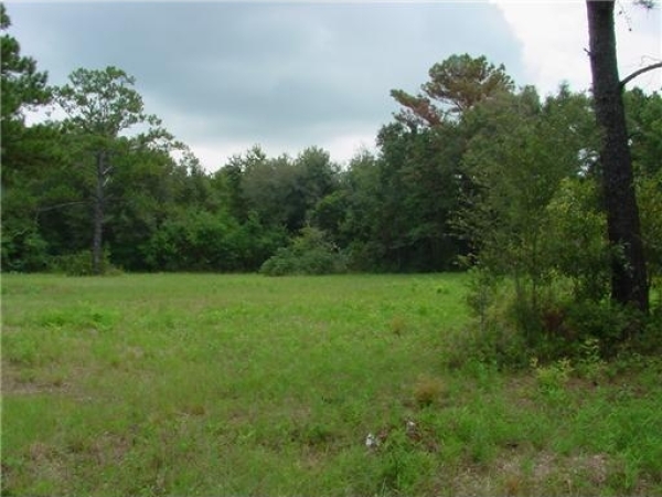 Listing Image #3 - Land for sale at 15200 U S Highway 49, Gulfport MS 39503