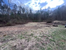 Listing Image #2 - Land for sale at Tr 1&2 Ed Graves Road, Murphy NC 28906