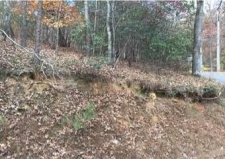 Listing Image #1 - Land for sale at Lot 721 Riverview Drive, Ellijay GA 30540