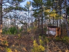 Listing Image #1 - Land for sale at 0 E HWY 280/Main Street, Abbevllle GA 31001