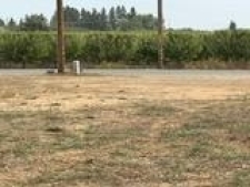 Listing Image #2 - Land for sale at 19259 E State Route 26, Linden CA 95236