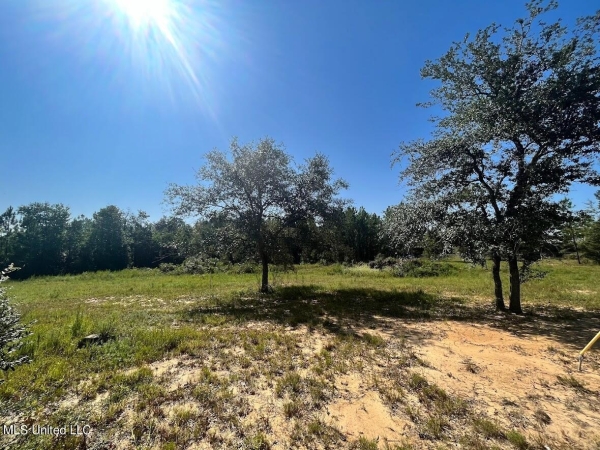 Listing Image #2 - Land for sale at 1.24 Acres Highway 11 & Highland Parkway, Picayune MS 39466