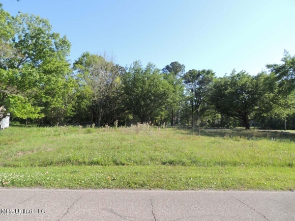 Listing Image #3 - Land for sale at 3209 Quave Road, D'iberville MS 39540