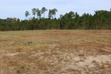 Listing Image #3 - Land for sale at 1.50 Acres Tucker Road, Vancleave MS 39565