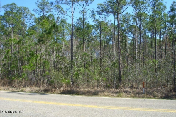 Listing Image #3 - Land for sale at 0 Biddix Evans Road, Ocean Springs MS 39564