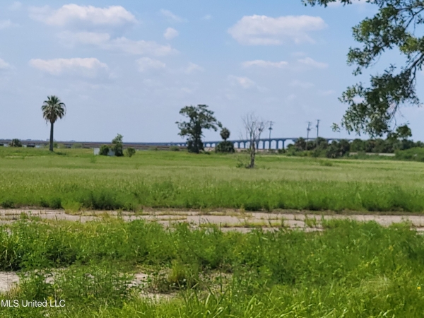 Listing Image #2 - Land for sale at 34 Acres Henderson Point, Pass Christian MS 39571