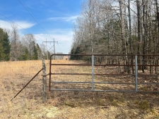 Listing Image #2 - Land for sale at 310 acres Spring River Ranch Rd, Williford AR 72482