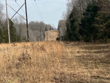 Listing Image #3 - Land for sale at 310 acres Spring River Ranch Rd, Williford AR 72482