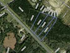 Land for sale in Flemington, GA