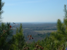 Land property for sale in Ellenboro, NC