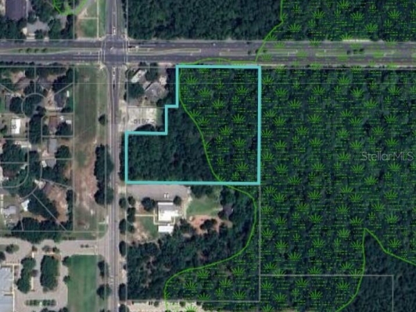 Listing Image #3 - Land for sale at 3719 NE 15th Street, Gainesville FL 32609
