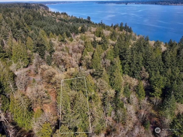 Listing Image #1 - Land for sale at 4374 VAN BEEK ROAD NW, LAKEBAY WA 98349