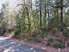 Listing Image #2 - Land for sale at 4374 VAN BEEK ROAD NW, LAKEBAY WA 98349