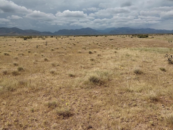 Listing Image #2 - Land for sale at Highland Springs Ranch Lot3-32 Road, San Antonio NM 87832