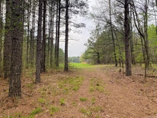 Listing Image #1 - Land for sale at Bowenhill Rd, Gurdon AR 71743