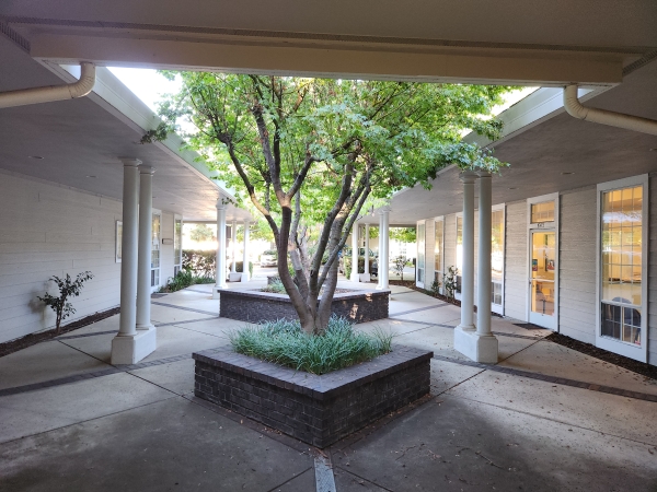 Listing Image #2 - Office for sale at 647 W East Ave, Chico CA 95926