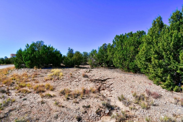 Listing Image #2 - Others for sale at 23 Tecolote Court, Sandia Park NM 87047