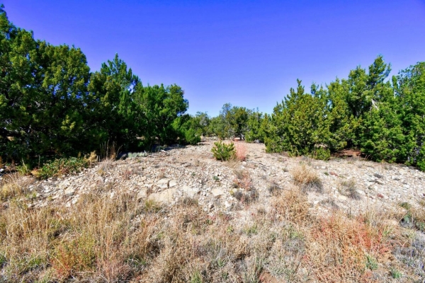 Listing Image #3 - Others for sale at 23 Tecolote Court, Sandia Park NM 87047