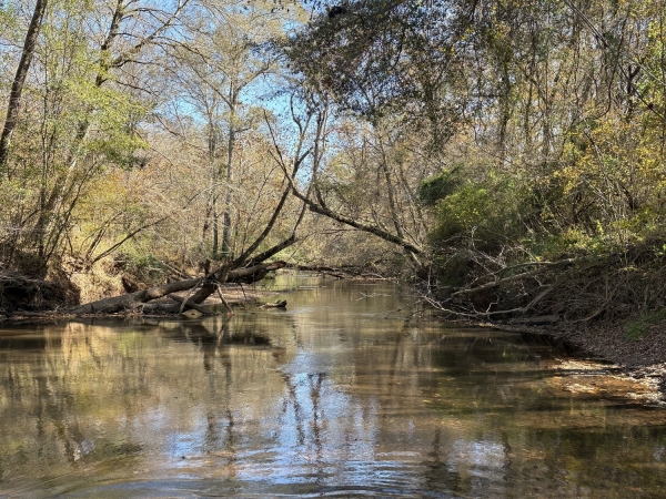 Listing Image #3 - Land for sale at 16475 Georgia 16, Monticello GA 31064 Listing Image #3 - Land for sale at 16475 Georgia 16, Monticello GA 31064